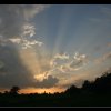 IMG_6174